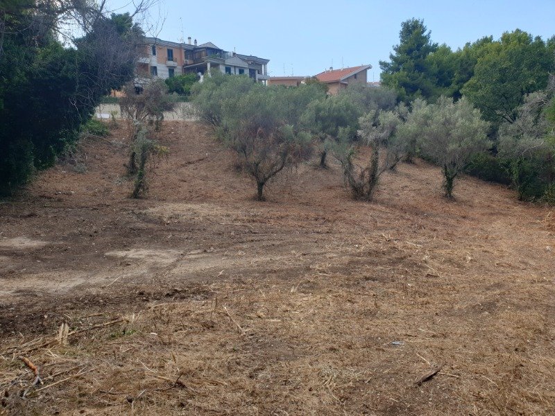 Terreno agricolo a Colle Macchiuzzo Termoli a Campobasso in Vendita