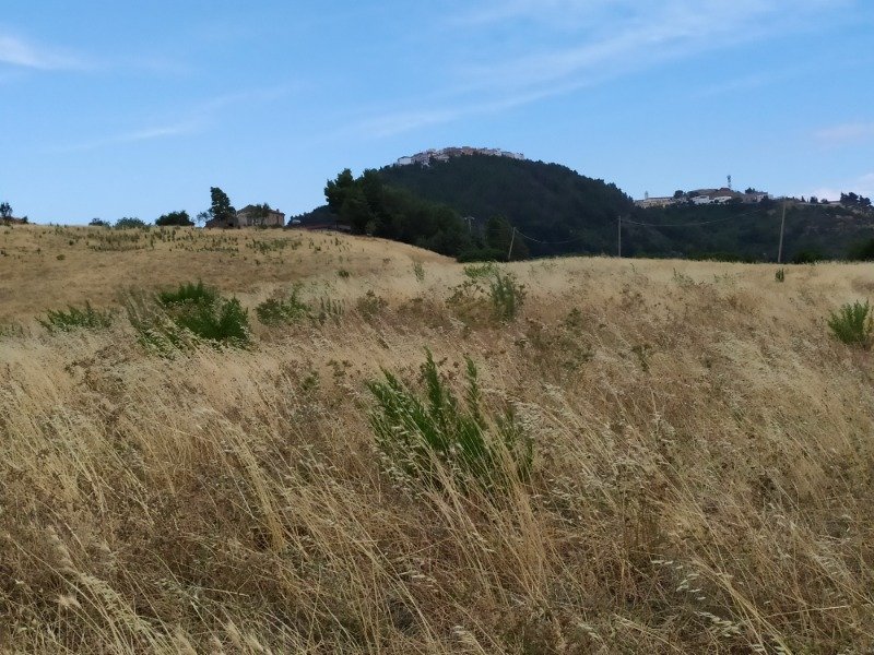 Rotondella terreni agricoli con casa a Matera in Vendita