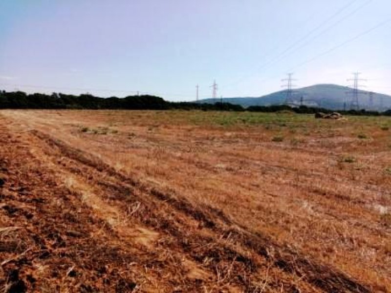 zona Porto Torres terreno agricolo a Sassari in Vendita