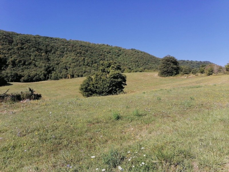 Lioni contrada Oppido terreno agricolo con rustico a Avellino in Vendita