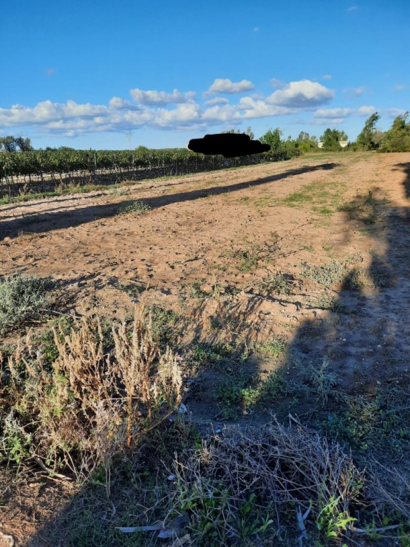 Leverano terreno agricolo a Lecce in Vendita