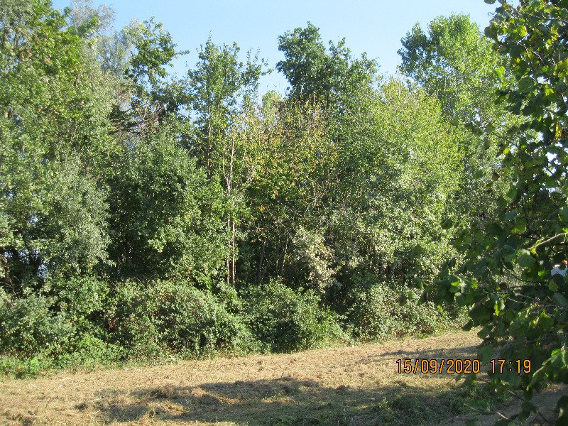 Carr appezzamento di terreno agricolo irriguo a Cuneo in Vendita