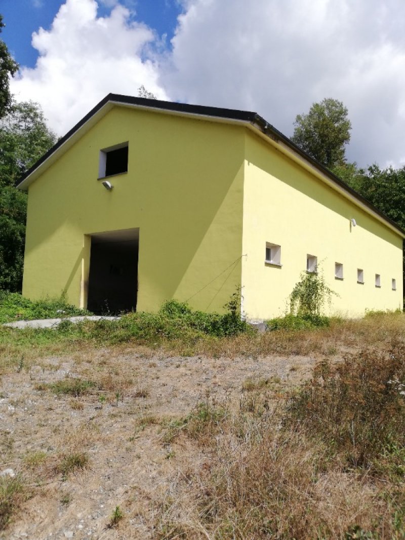 Varese Ligure nuova struttura per maneggio a La Spezia in Affitto