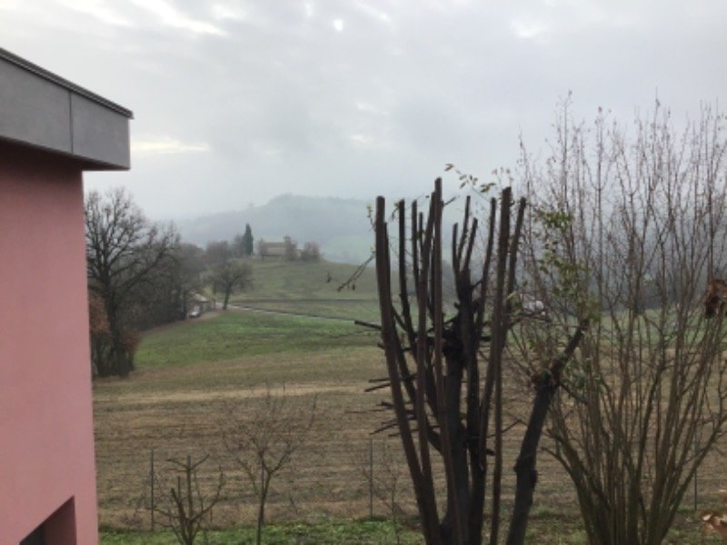 Viano rustico in posizione panoramica a Reggio nell'Emilia in Vendita