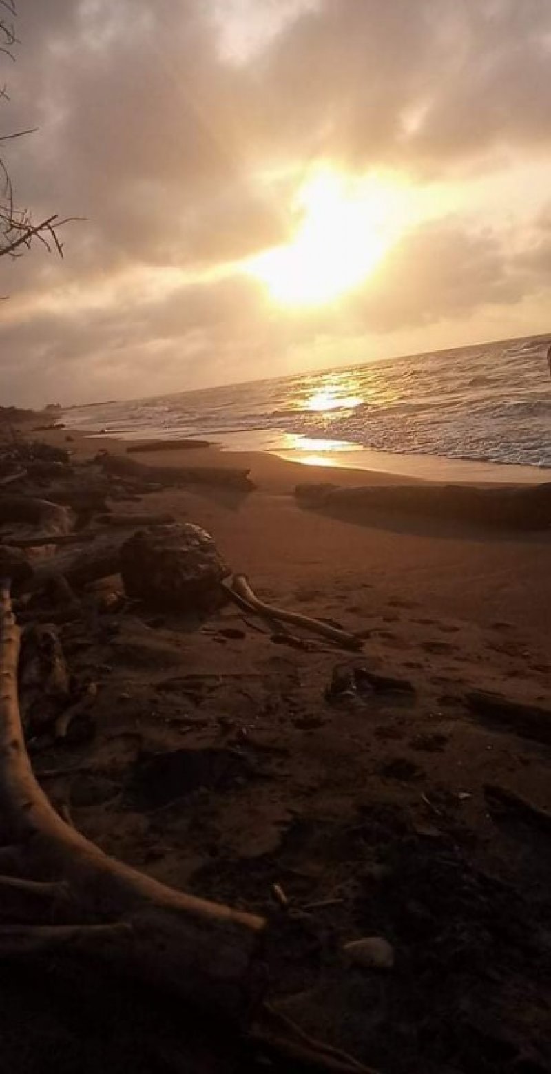 Salina del Rey terreni adiacenti sulla spiaggia a Spagna in Vendita