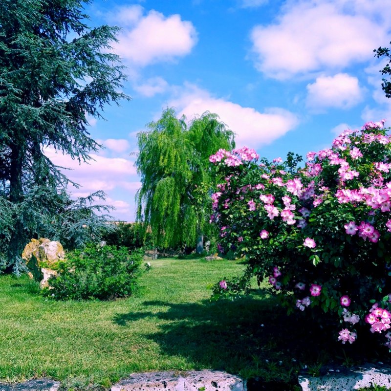 Cerveteri villa ecologica con ampio parco a Roma in Vendita