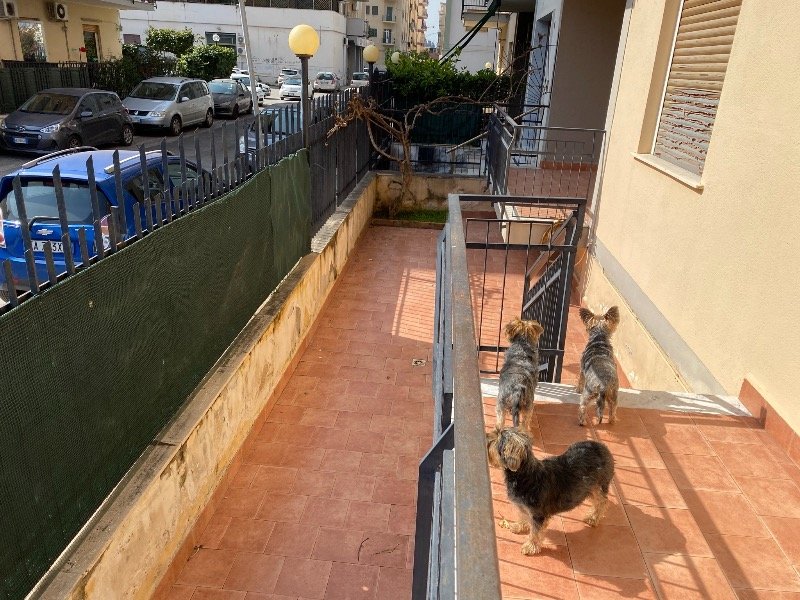 Palermo zona Oreto appartamento a Palermo in Affitto
