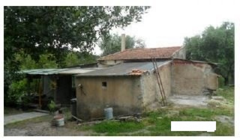 Alghero terreno agricolo con oliveto e casa a Sassari in Vendita