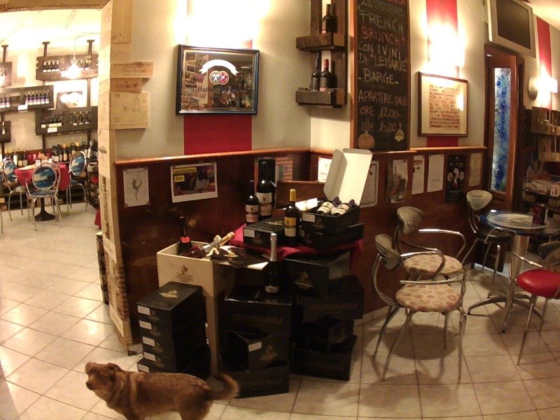 Costigliole Saluzzo bar vineria enoteca a Cuneo in Vendita