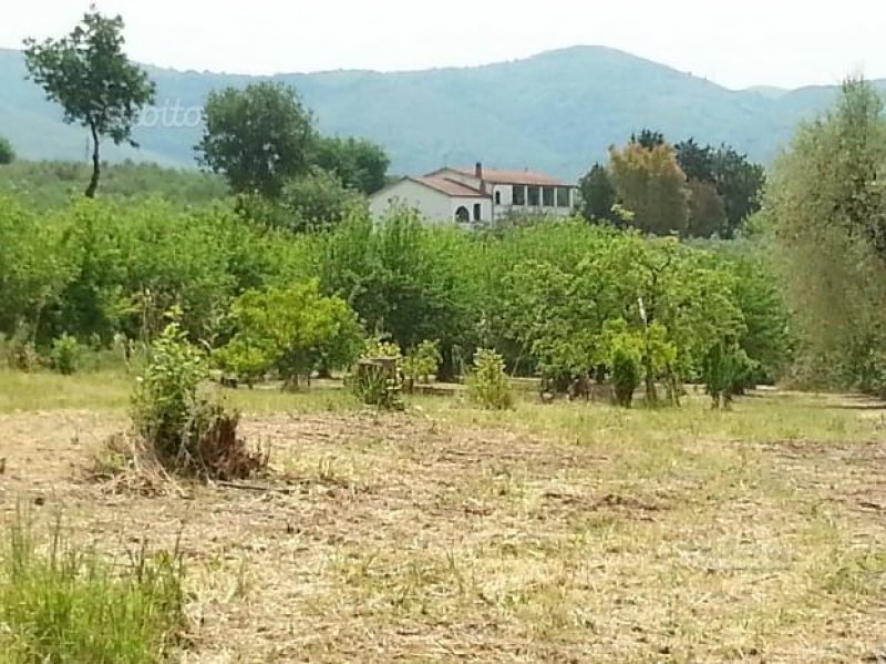 Sant'Agata De' Goti casale con terreno a Benevento in Vendita