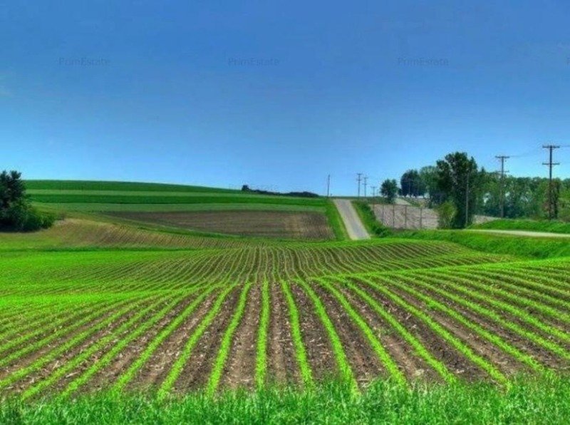 zona di Vest di Romania terreni agricoli a Romania in Vendita