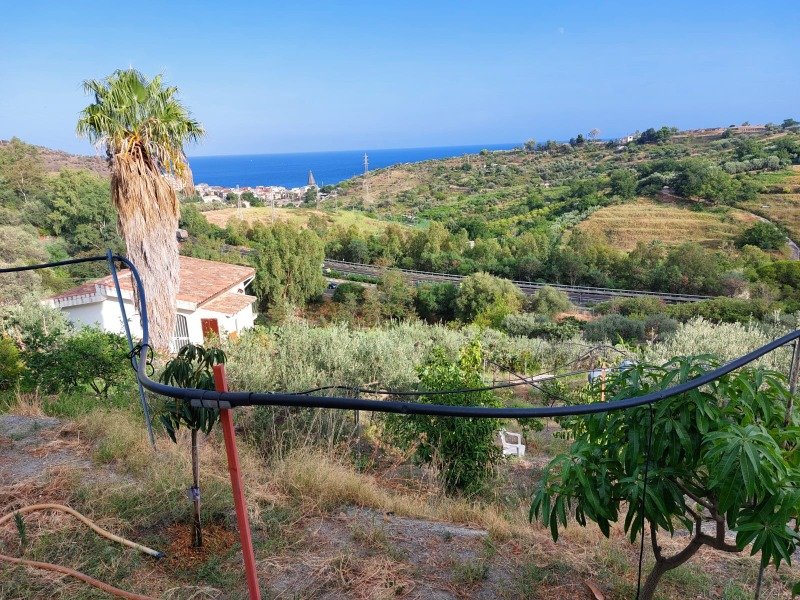 Taormina terreno coltivato a Messina in Vendita
