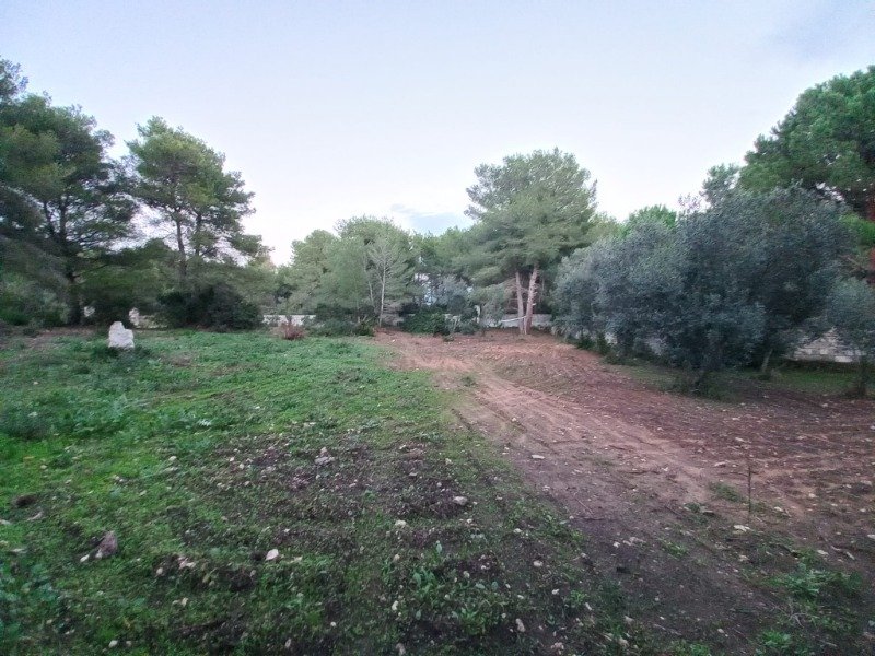 terreno agricolo a San Cataldo a Lecce in Vendita