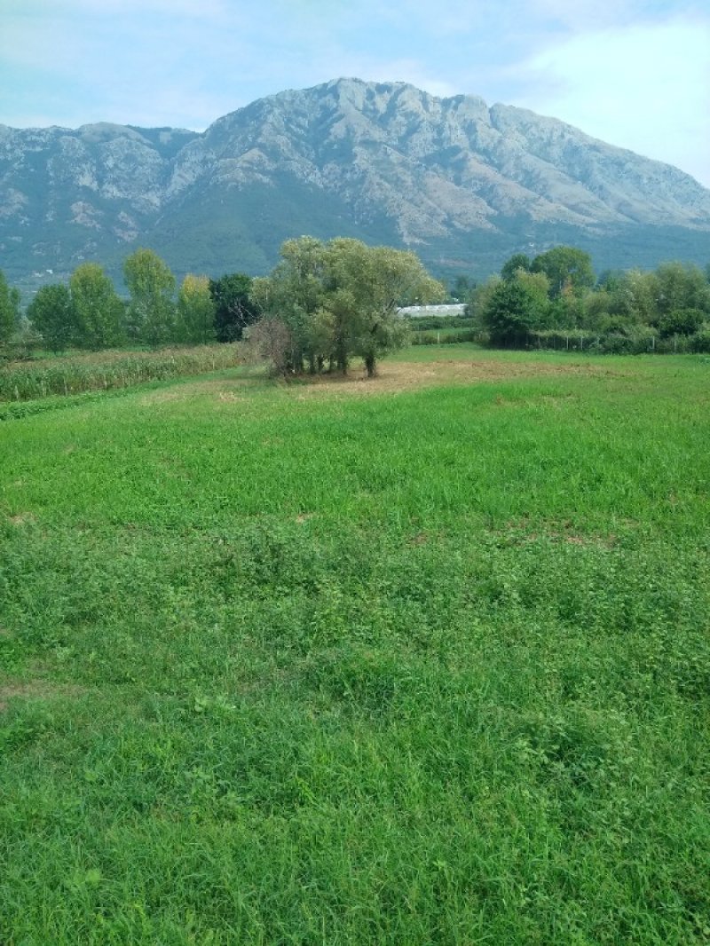 Airola terreno agricolo a Benevento in Vendita