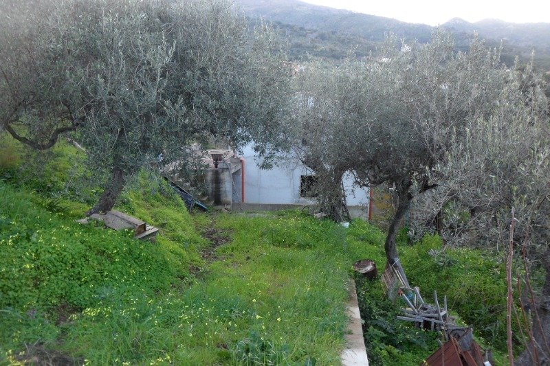 Lascari casa con terreno a Palermo in Vendita