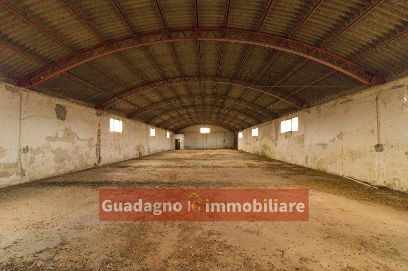 Masseria grande Surano rustico a Lecce in Vendita