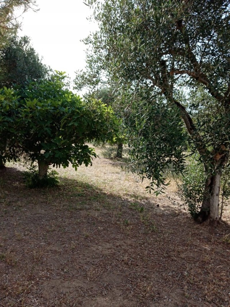 terreno zona Marde nel comune di Novoli a Lecce in Vendita