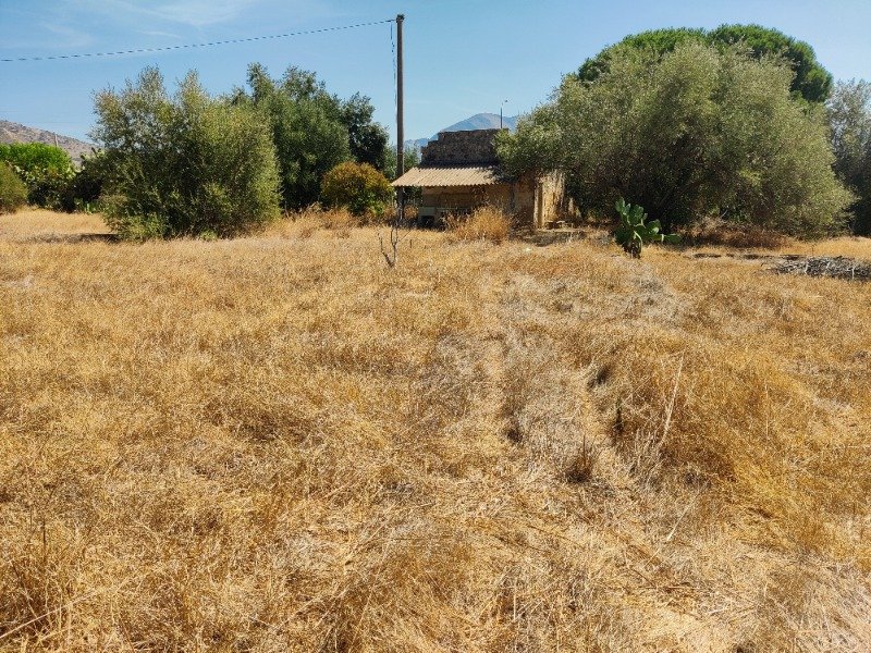 Terrasini terreno con rudere a Palermo in Vendita
