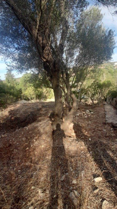 Terreno in localit Maladroxia a Sant'Antioco a Carbonia-Iglesias in Vendita
