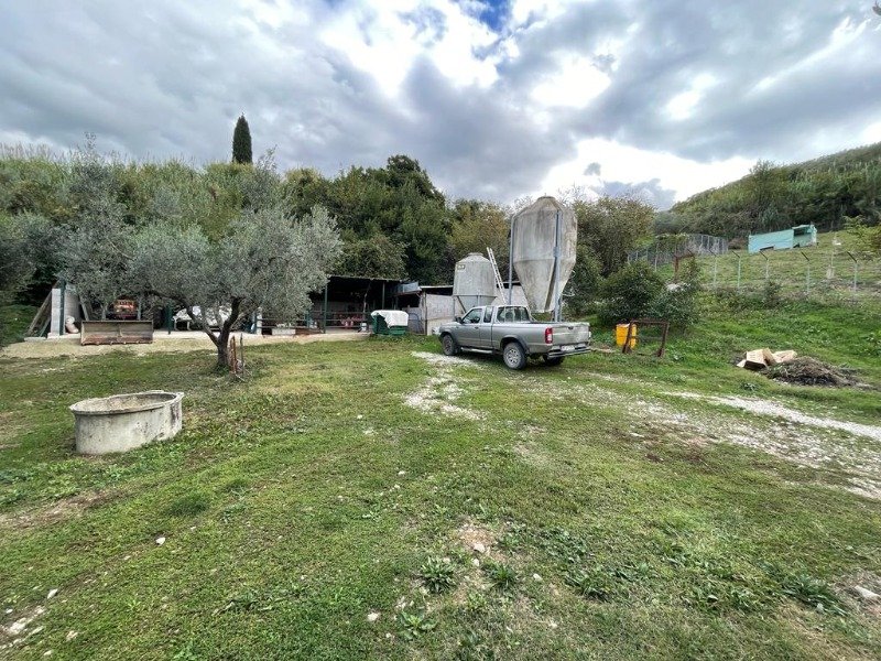 Scandriglia azienda agricola in Sabina a Rieti in Vendita