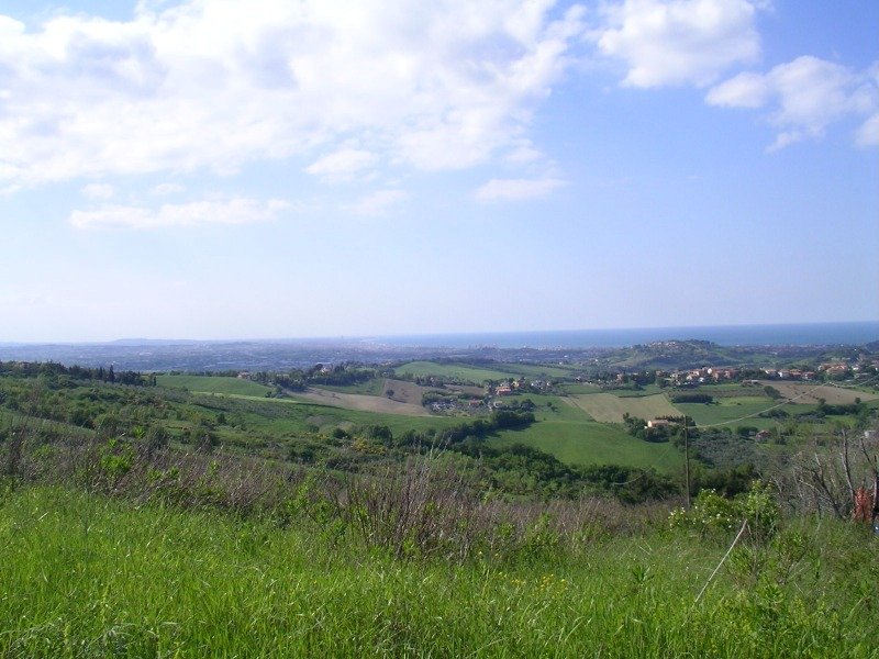 Tavullia terreno con vista panoramica a Pesaro e Urbino in Vendita