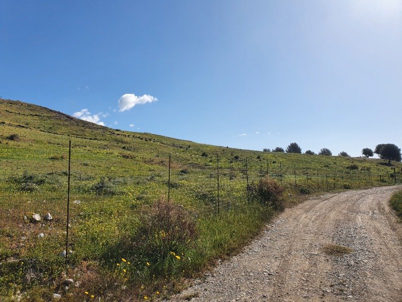 terreno agricolo sito a Condofuri a Reggio di Calabria in Vendita