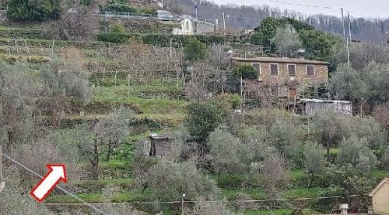 Cogorno villa con vista mare a Genova in Vendita