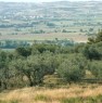 foto 0 - Terreno edificabile a Piedicolle di Collazzone a Perugia in Vendita