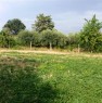 foto 8 - Terreno Agricolo zona Castelnuovo Vomano a Teramo in Vendita