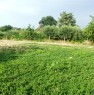 foto 3 - Terreno Agricolo zona Castelnuovo Vomano a Teramo in Vendita