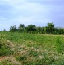 foto 2 - Terreno Agricolo zona Castelnuovo Vomano a Teramo in Vendita