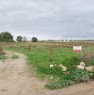 foto 8 - Ampio terreno agricolo a Pachino a Siracusa in Vendita