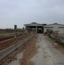 foto 5 - Azienda agricola per allevamento a Novi Ligure a Alessandria in Vendita