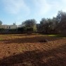 foto 7 - Terreno edificabile a Galatone a Lecce in Vendita