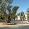 foto 2 - Villa Medina a Vieste a Foggia in Affitto