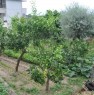 foto 1 - Terreno terrazzato zona Gallico a Reggio di Calabria in Vendita