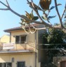 foto 3 - Casa singola nel cuore di Tremestieri Etneo a Catania in Vendita