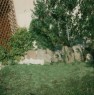 foto 2 - Villetta immersa nel verde a San Teodoro a Olbia-Tempio in Affitto