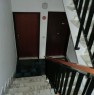 foto 8 - Appartamento Collesalvetti a Livorno in Affitto