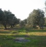 foto 4 - Terreno Trepuzzi-Casalabate zona Arcipreti a Lecce in Vendita