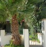 foto 0 - Casa vacanza a Fontanelle a Lecce in Affitto