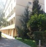 foto 1 - Appartamento doppi servizi zona San Siro  a Milano in Vendita