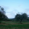 foto 2 - Terreno agricolo in Vigne a Narni a Terni in Vendita