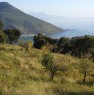 foto 7 - Terreno edificabile zona panoramica a Sapri a Salerno in Vendita