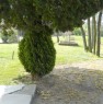 foto 4 - Casa singola con ricovero attrezzi a Mesola a Ferrara in Vendita