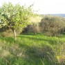 foto 2 - Terreno agricolo pianeggiante a Santa Lucia a Pescara in Vendita
