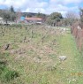 foto 2 - Vigneto e terreno orticolo a Villanova Monteleone a Sassari in Vendita