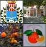 foto 8 - Villa individuale con giardino di agrumi a Siracusa in Affitto