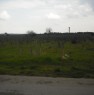 foto 2 - Terreno agricolo nel comune di Monteparano a Taranto in Vendita