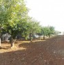 foto 0 - Terreno agricolo con annesso rustico a Ragusa in Vendita